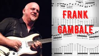 Frank Gambale - Blues Lick