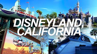 first trip to disneyland (from across the country) *crazy*