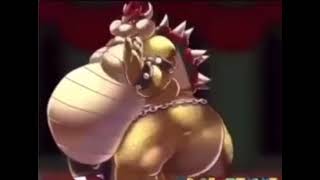 fat bowser fart video funny!!!!!