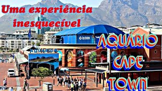 Aquário - Waterfront  #aquário #waterfront #capepoint #vlog