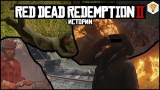 Red Dead Redemption 2 (Истории)