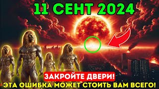 Сообщение От Кошачьих С Сириуса! Портал 5D открывается 11 сентября 2024 года✨