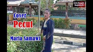 PECUT - Elvy Sukaesih cover Maria samawi