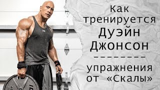 Как тренируется Дуэйн Джонсон (упражнения и мотивация от «Скалы»)