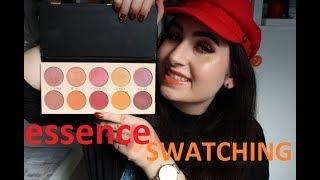 essence FALL back to nature PALETTE SWATCHING & FIRST IMPRESSION