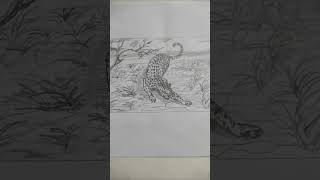 Leopard Skechting