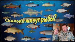 Сколько живут рыбы? Кто они - рыбы-долгожители?