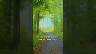 Nature sounds | rain 🌧️ Rain whatsapp status | respect nature 💕