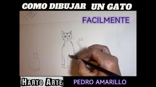 dibujando gato