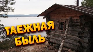 💥/Таежная быль / Нежданный косолапый сосед  старого охотника- промысловика/