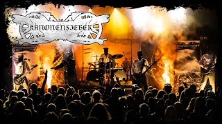 Kanonenfieber - Die Schlacht bei Tannenberg (Live at DEMM)