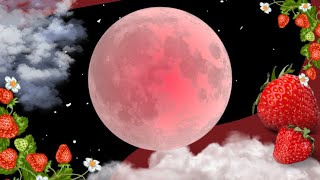 June 2023 Full Strawberry Moon 🍓🌕 Tarot Readings & Astrology For All 12 Signs