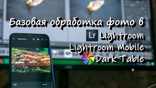 Базовая обработка фото в Lightoom и Dark Table