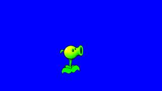 Green Screen/Blue Screen Dancing Plants VS Zombies Peashooter