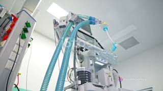 Breathing Easy: Understanding Mechanical Ventilators