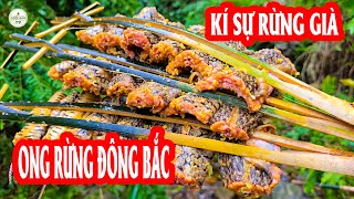 Một Chuyến Đi Xa Khám Phá Rừng Lạ Gặp Ngay Thịt Qua Đường ✧ Suối Bản TV