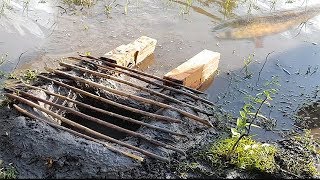 The Best Two Brothers Fishing Use Small Tree With Deep Hole To Make Fish Trap Got A Lot Of Fishes