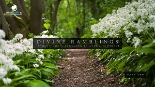 DIVINE RAMBLINGS - PART TWO