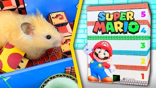 Хомяк в 5 - Этажном Лабиринте Супер Марио | Super Mario Maze