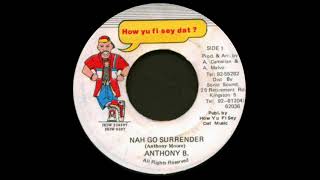 ANTHONY B - Nah Go Surrender (1996) How Yu Fi Sey Dat ?