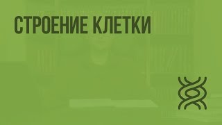 Строение клетки. Видеоурок по биологии 9 класс