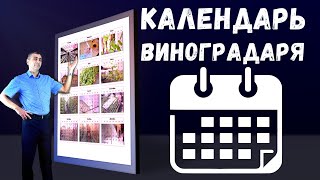 Календарь виноградаря.