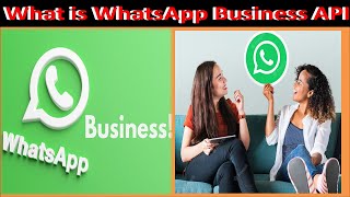 What is WhatsApp Business API | Whatsapp marketing full course | Whatsapp api in Pakistan