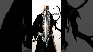 Genryusai Shigekuni Yamamoto Bankai - Bleach Thousand-Year Blood War