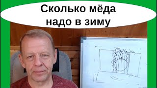 Подготовка пчёл к зимовке - 10 см мёда в рамке Владимирского улья это мало. Утверждение, комментарий