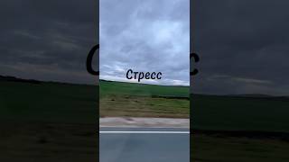 Стресс - это то, что всегда будет с нами.  #стресс #стрессоустойчивость #психологическаяпомощь