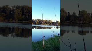 The search for catfish #catfishing #fishing #channelcatfish