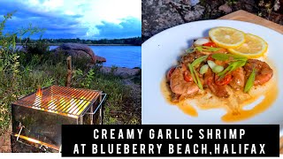 Savor the Taste of Creamy Garlic Shrimp | ASMR Cooking & Camping Adventure in Nova Scotia