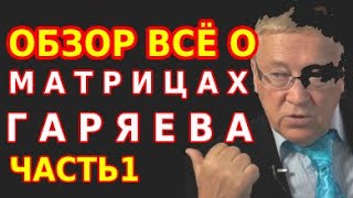 Матрицы Гаряева. Детальный обзор и анализ. Обобщённое видео. Часть1из 5.