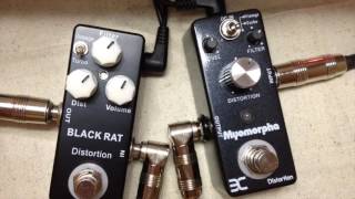 SHOOTOUT! Mosky Black Rat vs Eno Myomorpha!