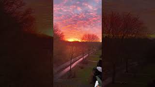 #sunset #shortvideo #shorts #shortsfeed #relaxing #evening #youtube #youtubeshorts #views #subscribe