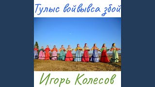 Тулыс войвывса збой