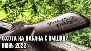 Охота на кабана с вышки/Июнь 2022/Первый выезд