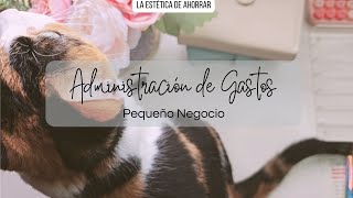 Administración de Gastos de mi Pequeño Negocio | Presupuesto + Relleno de Sobres