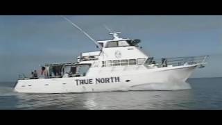 TRUE NORTH TV - 30 Years of Adventure (full length version)