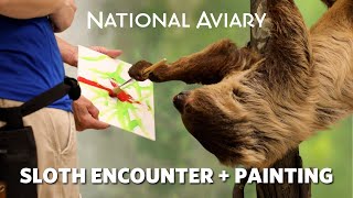 National Aviary Sloth Encounter + Painting!