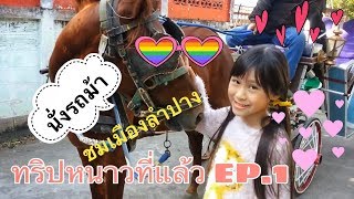 นั่งรถม้า ครั้งแรก!! เที่ยวเมืองลำปาง กับทริปหนาวที่แล้วของเฟย์🐴🌸👧🏻