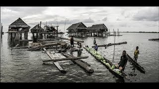 TRUE NORTH TV - Sepik River Experience