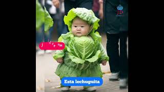 ¿Quién quiere lechuga? 🥬#JordiDice🗣️ #lechuga #bebe #comida #dieta #alimento