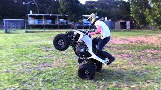 Quad Wheelies