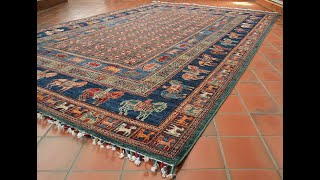 308518 Pazryrk Design carpet walkaround