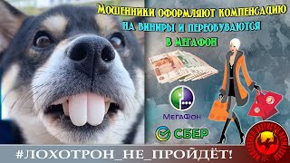 Всё смешалось.. Новый скрипт мошенников: компенсация + Мегафон + Сбер + лжемагазин (Автор - Надежда)