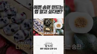 예쁜 송편 만드는 법을 알고 싶다면? | 추석 음식 한 상