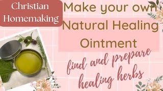 DIY Natural Healing Ointment | Plantain | Yarrow | How to make this Salve |