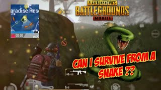 Last circle against snakes | Pocophone F1 PUBG