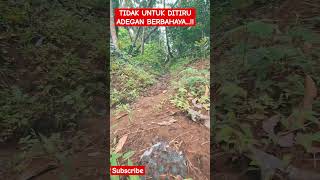 terbayang bayang bakwan .... #shortvideo #asmr #bushcraft #survival #adventure #trailenduro #shorts